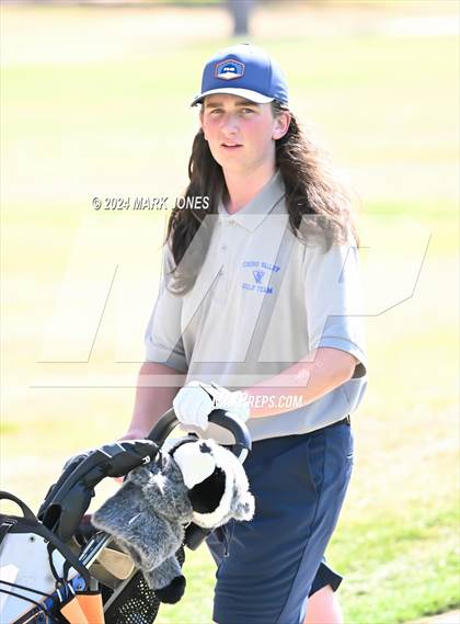 Thumbnail 2 in Metro Invitational Golf Tournament photogallery.