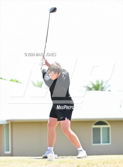 Thumbnail 1 in Metro Invitational Golf Tournament photogallery.