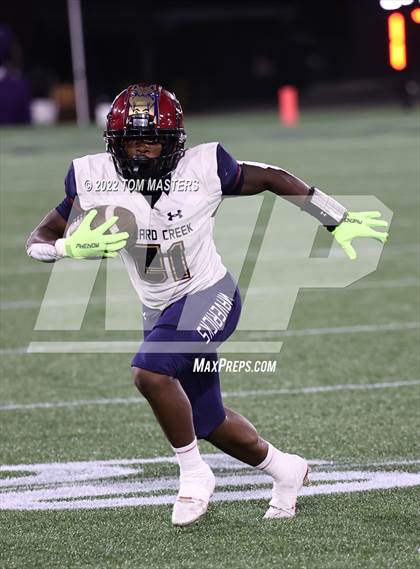 Thumbnail 3 in Mallard Creek @ Myers Park photogallery.