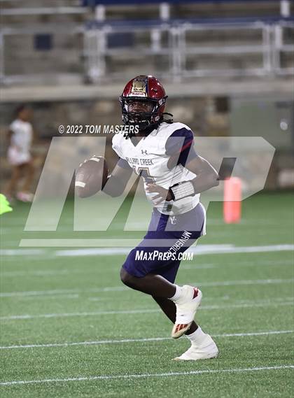 Thumbnail 3 in Mallard Creek @ Myers Park photogallery.