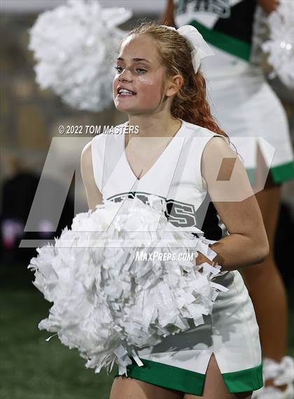 Thumbnail 2 in Mallard Creek @ Myers Park photogallery.
