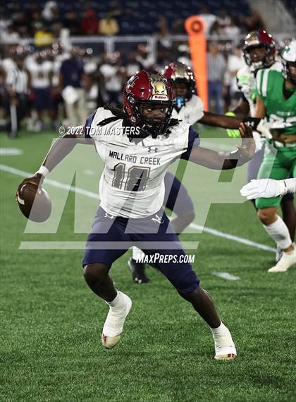 Thumbnail 2 in Mallard Creek @ Myers Park photogallery.