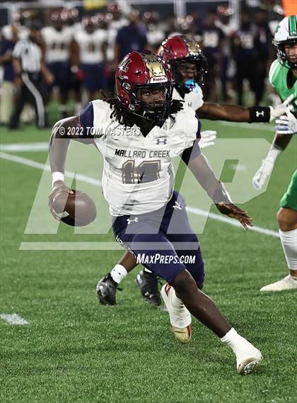 Thumbnail 3 in Mallard Creek @ Myers Park photogallery.