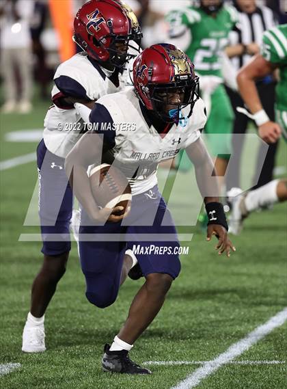 Thumbnail 1 in Mallard Creek @ Myers Park photogallery.