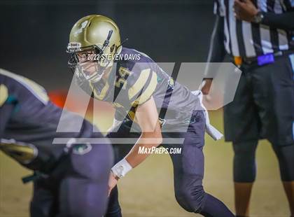 Thumbnail 1 in Casteel @ Basha photogallery.