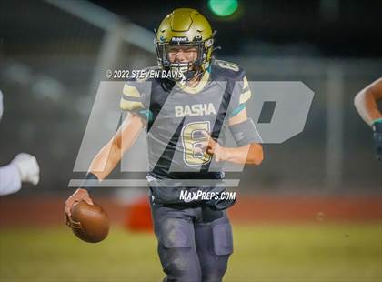 Thumbnail 1 in Casteel @ Basha photogallery.