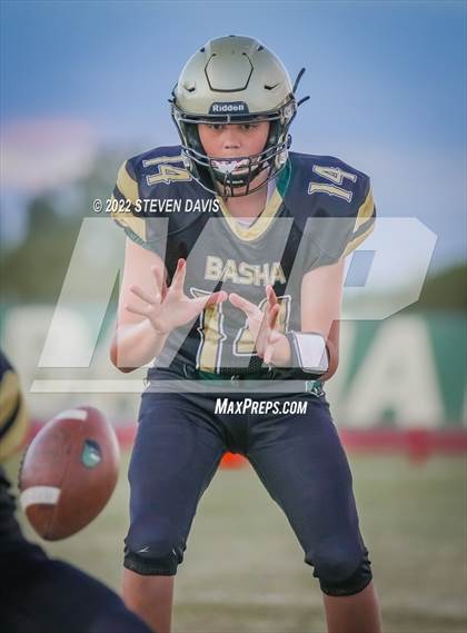 Thumbnail 2 in Casteel @ Basha photogallery.