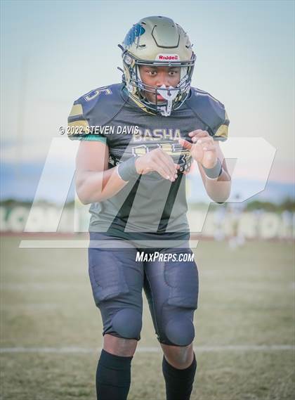 Thumbnail 1 in Casteel @ Basha photogallery.