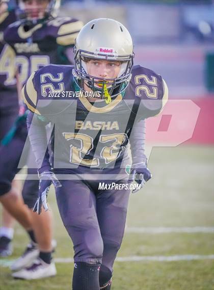 Thumbnail 1 in Casteel @ Basha photogallery.