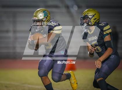 Thumbnail 3 in Casteel @ Basha photogallery.
