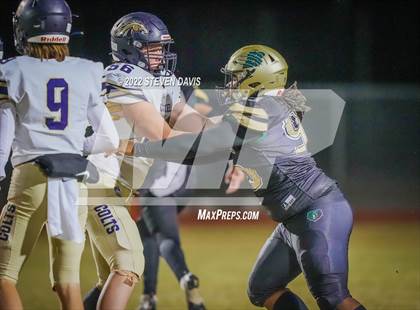 Thumbnail 1 in Casteel @ Basha photogallery.