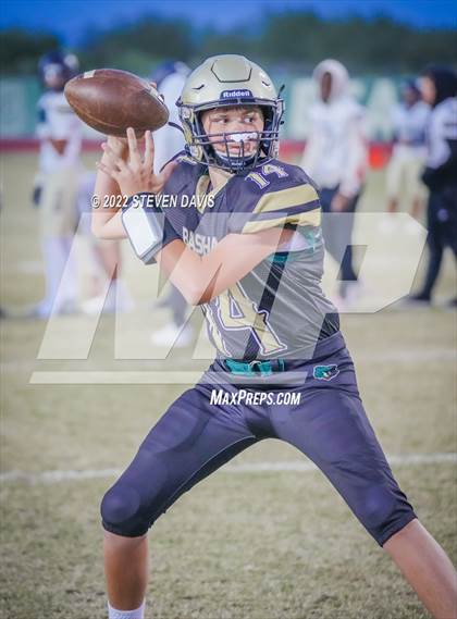 Thumbnail 3 in Casteel @ Basha photogallery.
