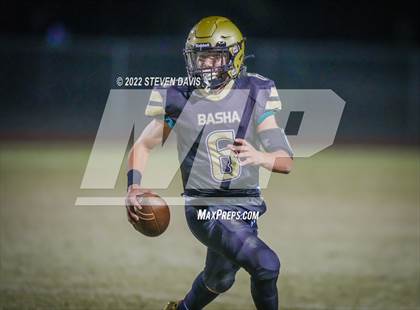 Thumbnail 3 in Casteel @ Basha photogallery.