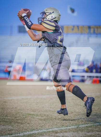 Thumbnail 2 in Casteel @ Basha photogallery.