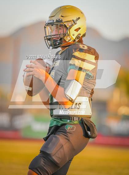 Thumbnail 2 in Casteel @ Basha photogallery.