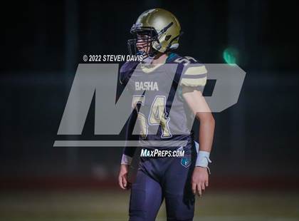 Thumbnail 2 in Casteel @ Basha photogallery.