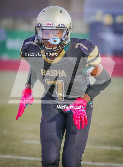Thumbnail 1 in Casteel @ Basha photogallery.