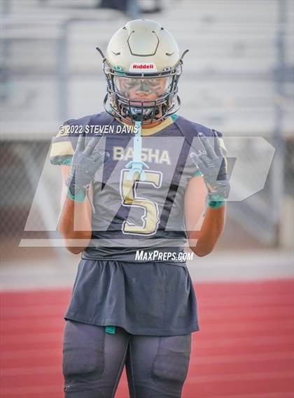 Thumbnail 3 in Casteel @ Basha photogallery.