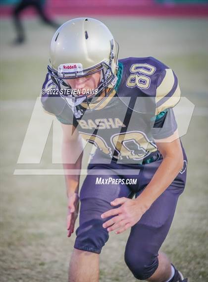 Thumbnail 3 in Casteel @ Basha photogallery.