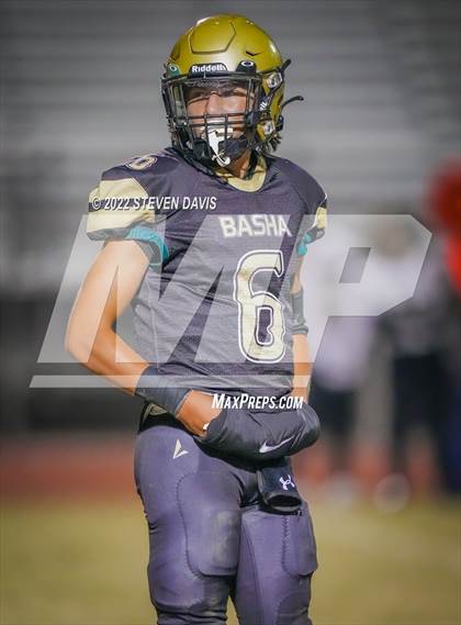 Thumbnail 1 in Casteel @ Basha photogallery.