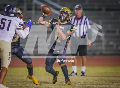 Thumbnail 1 in Casteel @ Basha photogallery.