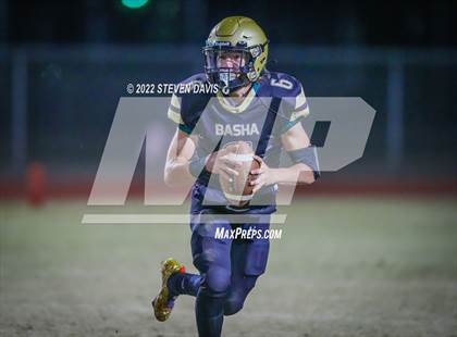 Thumbnail 3 in Casteel @ Basha photogallery.