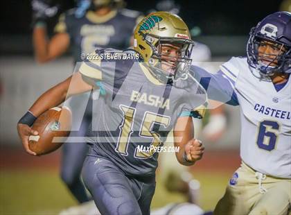 Thumbnail 1 in Casteel @ Basha photogallery.