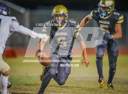 Thumbnail 2 in Casteel @ Basha photogallery.