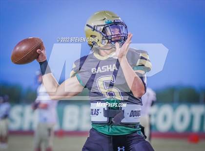 Thumbnail 3 in Casteel @ Basha photogallery.