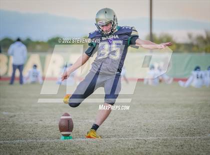 Thumbnail 1 in Casteel @ Basha photogallery.