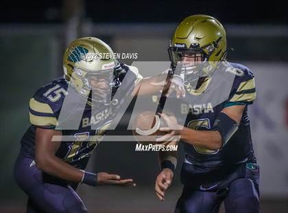 Thumbnail 2 in Casteel @ Basha photogallery.