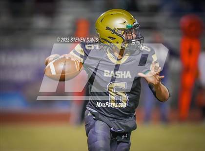 Thumbnail 2 in Casteel @ Basha photogallery.