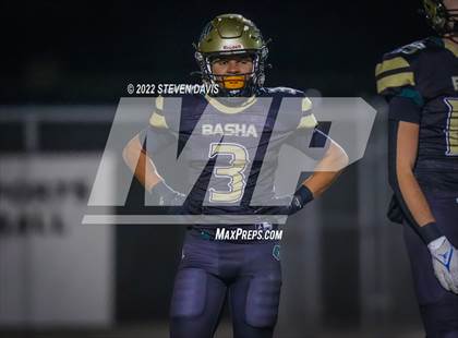 Thumbnail 2 in Casteel @ Basha photogallery.