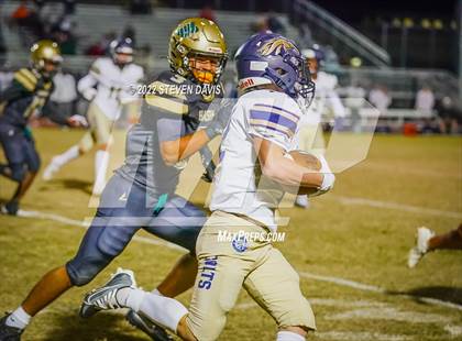 Thumbnail 3 in Casteel @ Basha photogallery.