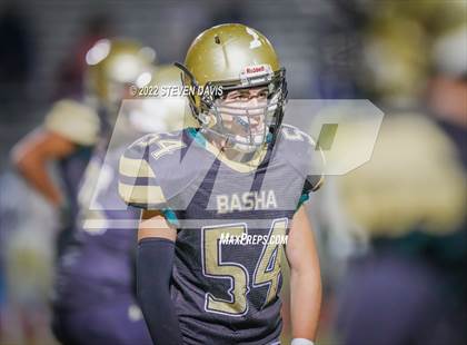Thumbnail 1 in Casteel @ Basha photogallery.