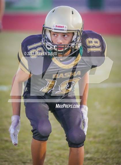 Thumbnail 1 in Casteel @ Basha photogallery.