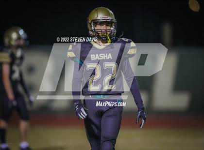 Thumbnail 2 in Casteel @ Basha photogallery.