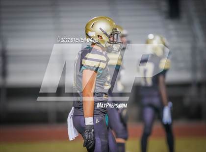 Thumbnail 3 in Casteel @ Basha photogallery.