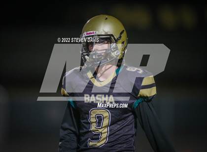 Thumbnail 1 in Casteel @ Basha photogallery.