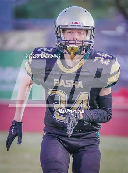 Thumbnail 2 in Casteel @ Basha photogallery.