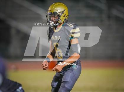 Thumbnail 2 in Casteel @ Basha photogallery.