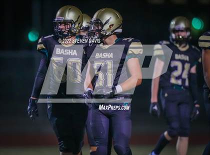 Thumbnail 1 in Casteel @ Basha photogallery.