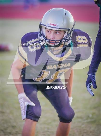Thumbnail 3 in Casteel @ Basha photogallery.