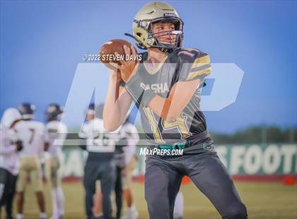 Thumbnail 2 in Casteel @ Basha photogallery.