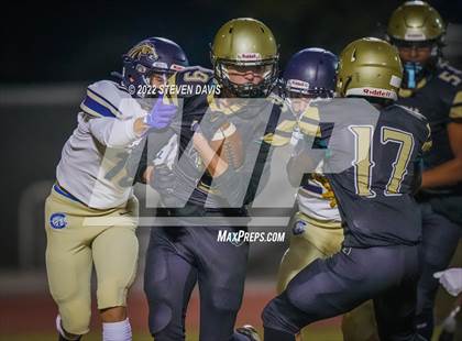 Thumbnail 2 in Casteel @ Basha photogallery.