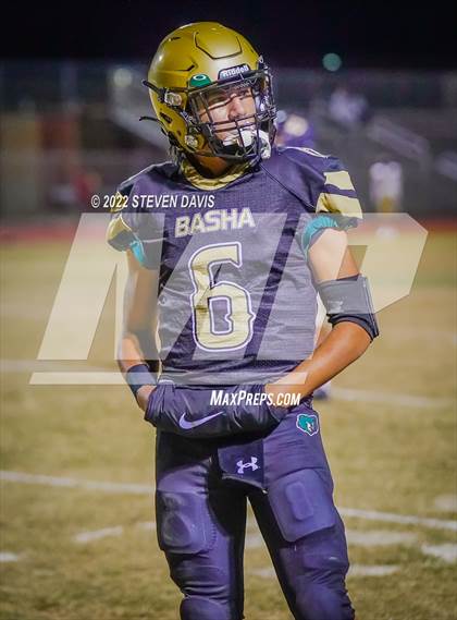 Thumbnail 2 in Casteel @ Basha photogallery.