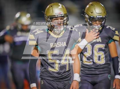 Thumbnail 2 in Casteel @ Basha photogallery.