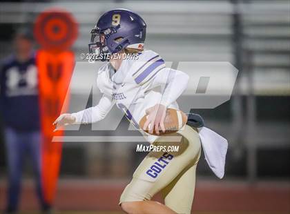 Thumbnail 3 in Casteel @ Basha photogallery.