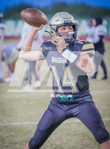 Thumbnail 1 in Casteel @ Basha photogallery.