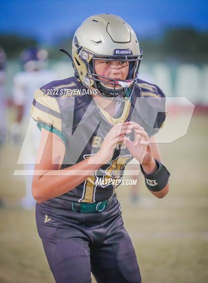 Thumbnail 2 in Casteel @ Basha photogallery.